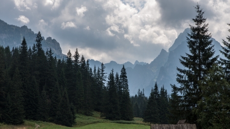 Bielovodska Valley in Tatry Mountainsの写真素材