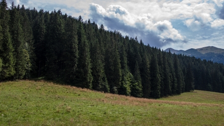 Koscieliska Valley in Tatry Mountainsの写真素材