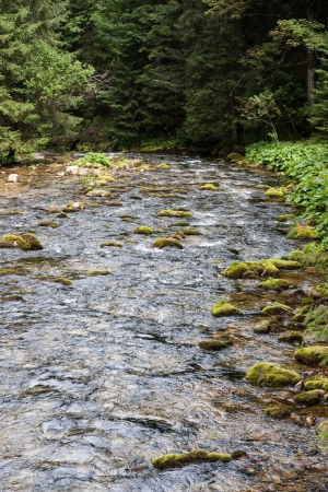 Koscieliska Valley in Tatry Mountainsの写真素材