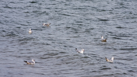 Sopot attractions in Pomerania in Polandの写真素材