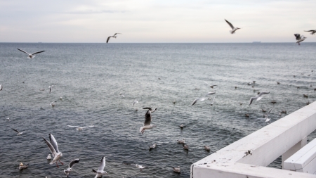 Sopot attractions in Pomerania in Polandの写真素材