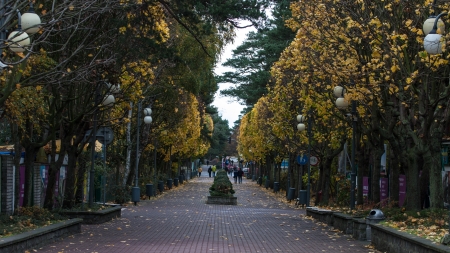 Jurata Spa Resport in Pomerania Polandの写真素材