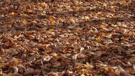 Rzucewo Castle in Poland Pomerania Region in fallのeditorial素材