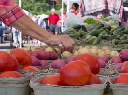 A shopper picks over the produce at the Farmerの写真素材