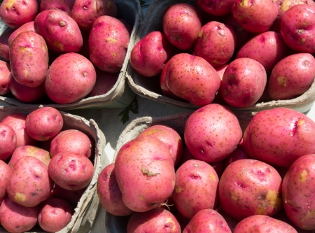 Red potatoes at the Farmerの写真素材