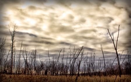 Multi-Color Sky in January Offers Promise of Coming Snow.の写真素材