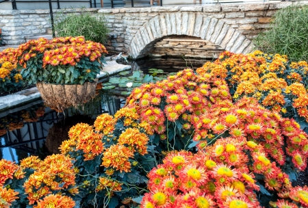 ST  PAUL, MN USA - November 19, 2010  The Marjorie McNeely Conservatory is a 60,000 square feet dome style greenhouse and is on the National Register of Historic places   November 19, 2010 のeditorial素材