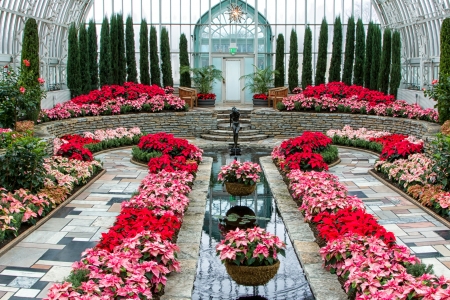 ST  PAUL, MN USA - November 30, 2012  The Marjorie McNeely Conservatory is a 60,000 square feet dome style greenhouse and is on the National Register of Historic places   November, 30, 2012 のeditorial素材