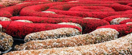 LOS ANGELES, CA - MARCH 21:The Getty Center is a museum founded by noted oilman J. Paul Getty.  The 1.3 billion center overlooks Los Angeles and is known for its architecture, gardens, and city views. Los Angeles, CA, March 21, 2010.のeditorial素材