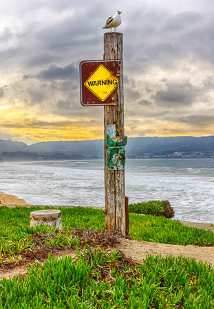 A Gull Atop a Warning Sign Over Monterey Bay