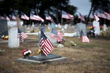 Cemetery Adorned with American Flags Honoring War Deadのeditorial素材