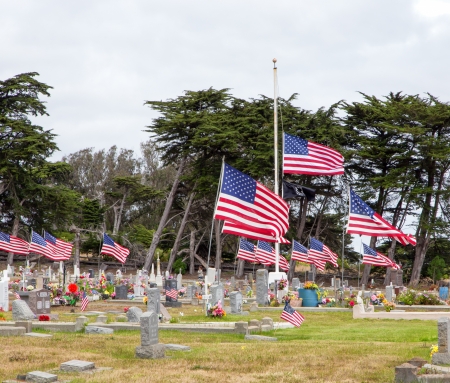 Cemetery Adorned with American Flags Honoring War Deadのeditorial素材