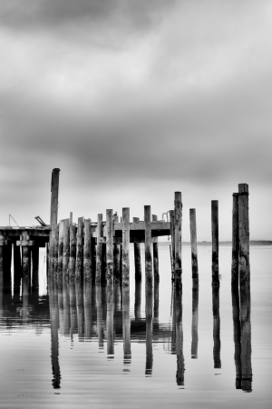 Vertical Reflection of Weathered Pier in Black and White at Bodega Bayの写真素材