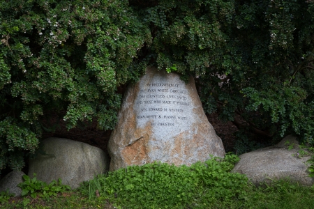 SAN FRANCISCO/USA - AUGUST 10: Marker at the National Aids Memorial Grove in San Francisco's Golden Gate Park is the first living memorial to those afflicted with AIDS and HIV. August 10, 2013.のeditorial素材