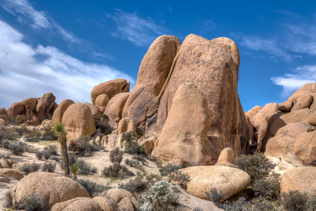 Spectacular rock formations at Joshua Tree National Park, California, USA.の写真素材