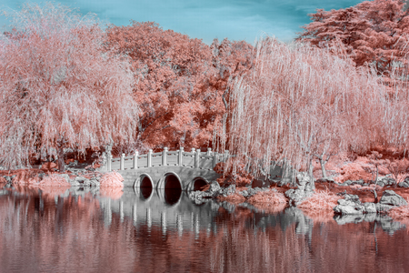 Bridge over water in color infrared with Asian theme.の写真素材
