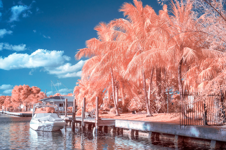 Fort Lauderdale Intracoastal waterway in color infrared.の写真素材