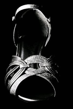 A silver shoe 2の素材