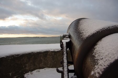 Cannon fodderのeditorial素材