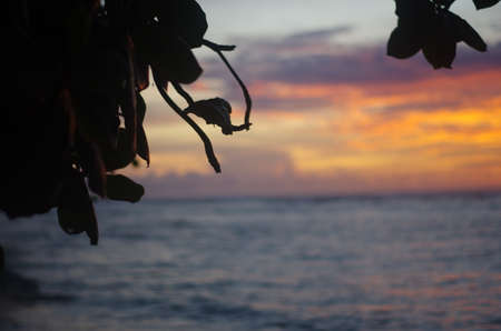 Sunset over the Oceanの写真素材