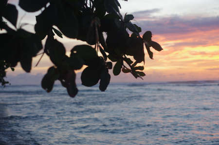 Sunset over the oceanの写真素材