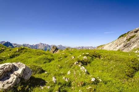 A green meadow in front of a fantastic mountain scene.の写真素材