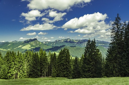 Walking track in the Kleinwalsertal between forests and mountains.の写真素材