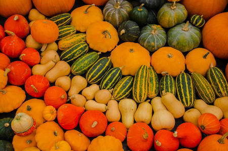 Autumnal decoration in Kew Gardens, Londonの写真素材