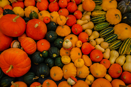 Beautiful autumnal decoration in Kew Gardens, London.の写真素材