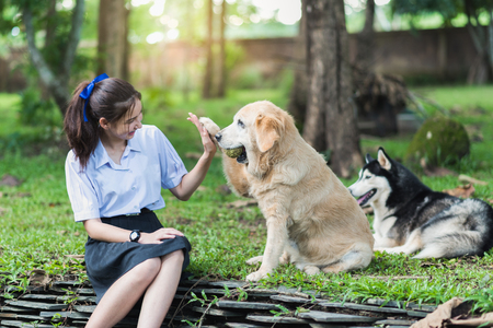 asia girl wearing uniform playing with a golden retriverの写真素材