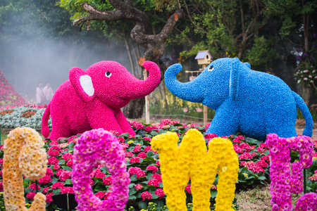elephants doll in the gardenの写真素材