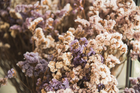 cutter flowers vintage backgroundの写真素材