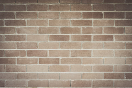 Abstract plant wall background, vintage colorの写真素材
