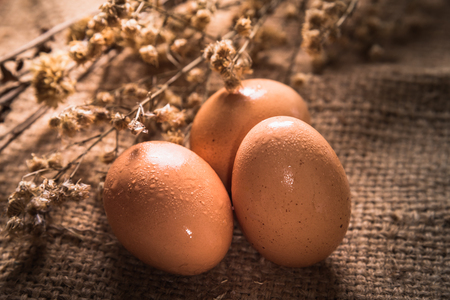 eggs on burlap backgroundの写真素材