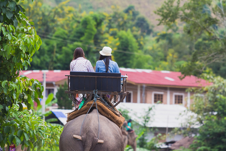 traveler ride elephant on the roadの写真素材