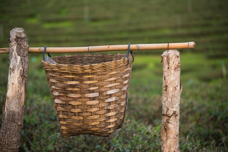 close up of wood bin at tea farmの写真素材