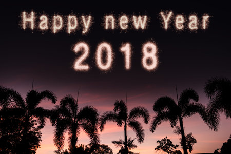 Happy new year 2018 written with Sparkle firework on fireworks with dark background, celebration...