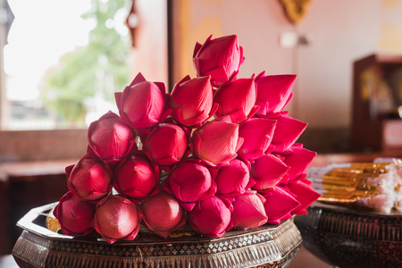 lotus for Buddhist religious ceremony