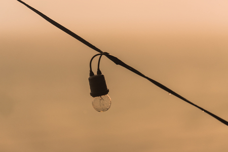Decorative vintage lightbulbs on sunset backgroundの写真素材