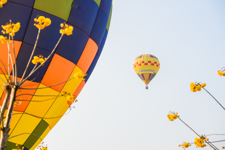 CHIANGRAI, THAILAND - February 13 : International Balloon Fiesta 2016 , February 13 2016 in Singha Park, CHIANGRAI, THAILANDのeditorial素材
