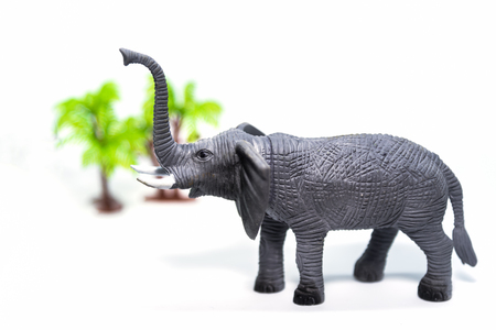 toy elephant on white backgroundの写真素材