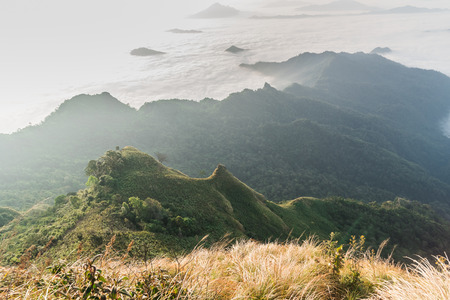 fog and cloud mountain valley landscapeの写真素材