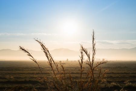 Sunrise on field mountainの写真素材
