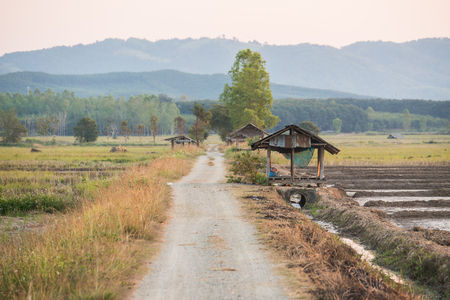 Mountain road skyの写真素材