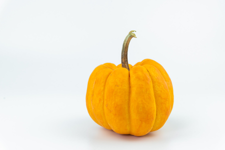 Halloween Pumpkin isolated on white backgroundの写真素材