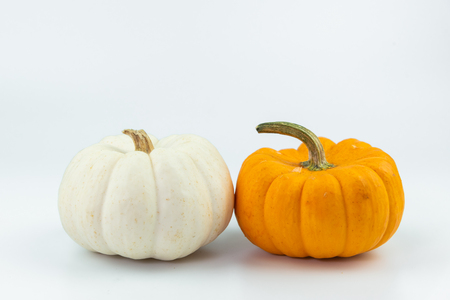 Halloween Pumpkin isolated on white backgroundの写真素材