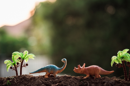 Dinosaur in the jungle sunsetの写真素材