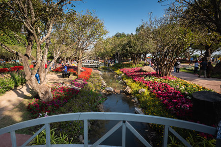 Chiang Rai, Thailand - JANUARY 02, 2016: Flowers Blooming at the Chiang Rai Flower Festival and...