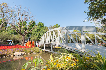 Chiang Rai, Thailand - JANUARY 02, 2016: Flowers Blooming at the Chiang Rai Flower Festival and Music in the Park 2016のeditorial素材