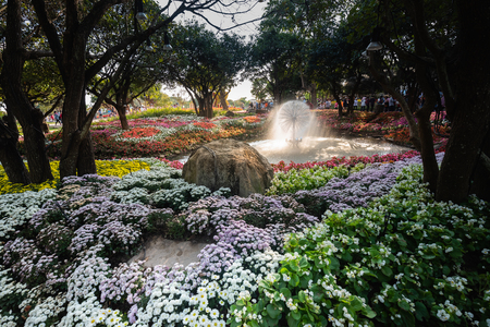 Chiang Rai, Thailand - JANUARY 02, 2016: Flowers Blooming at the Chiang Rai Flower Festival and Music in the Park 2016のeditorial素材